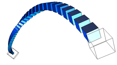 Spine Strength